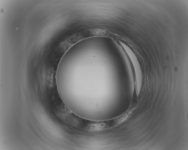 X0000081300525200701251721