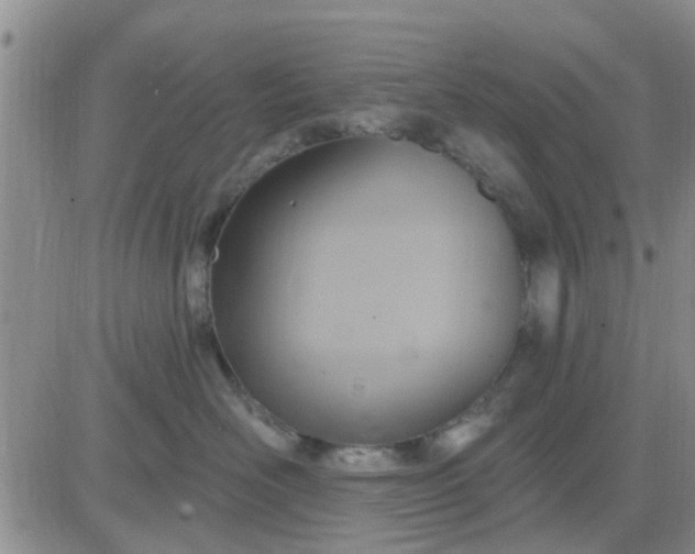 X0000081300526200701251721