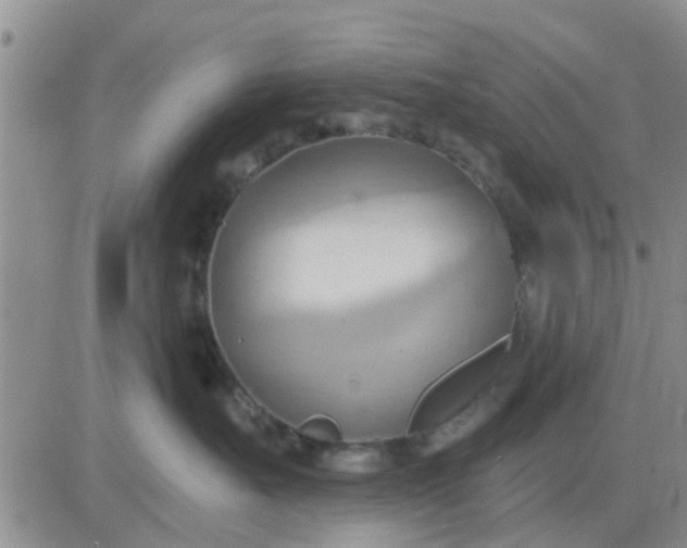 X0000081300527200701251721