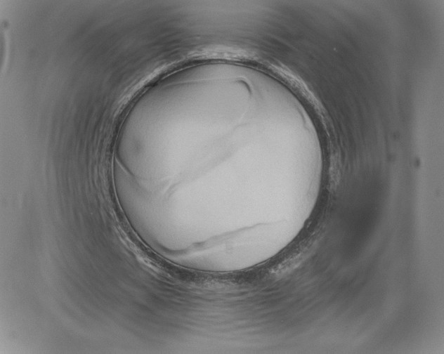 X0000081300529200701251720