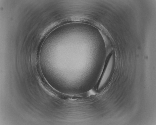 X0000081300530200701251720