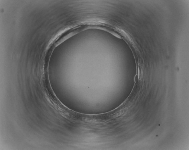 X0000081300531200701251720