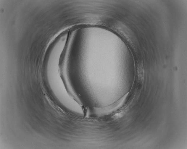 X0000081300532200701251720