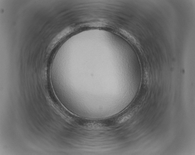 X0000081300535200701251720