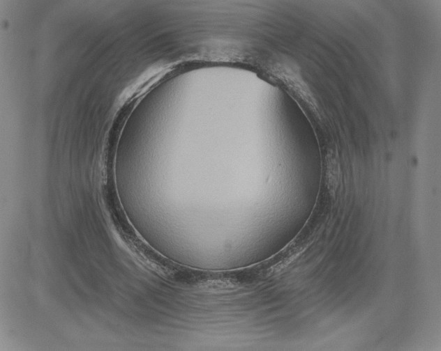 X0000081300536200701251720