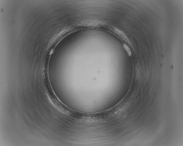 X0000081300538200701251720