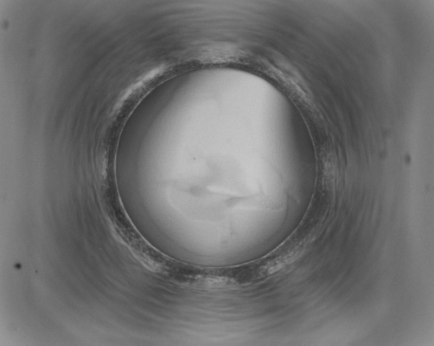 X0000081300539200701251720