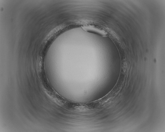 X0000081300544200701251720