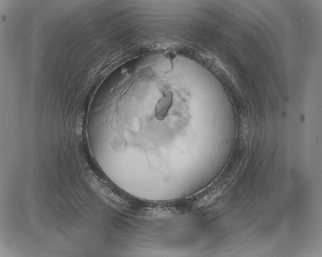 X0000081300545200701251720