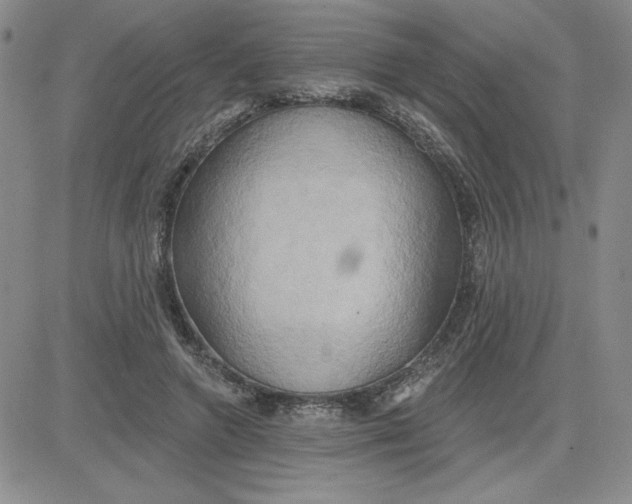 X0000081300546200701251720