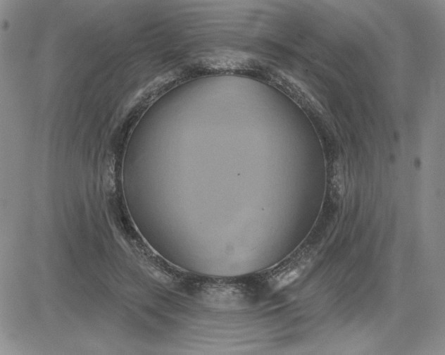 X0000081300547200701251720