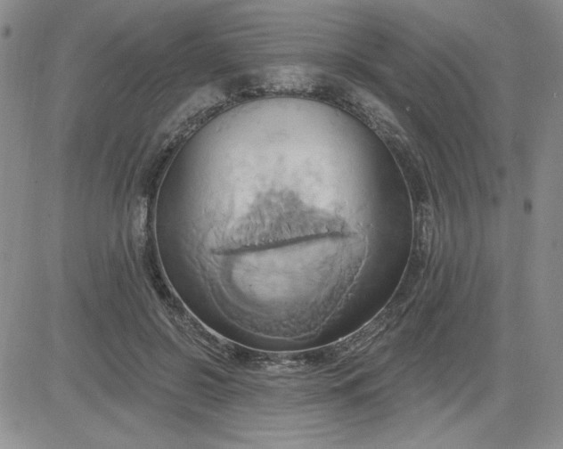 X0000081300550200701251720