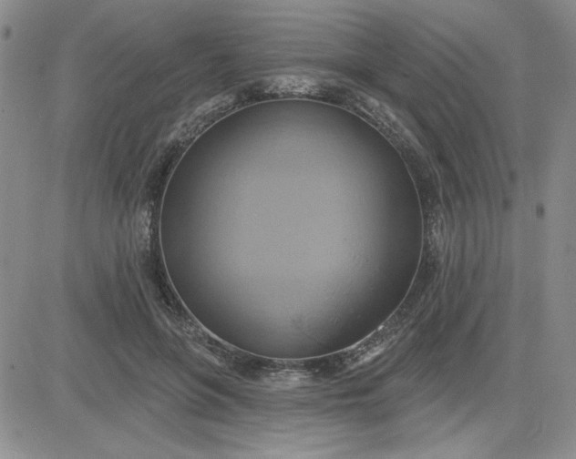 X0000081300551200701251720