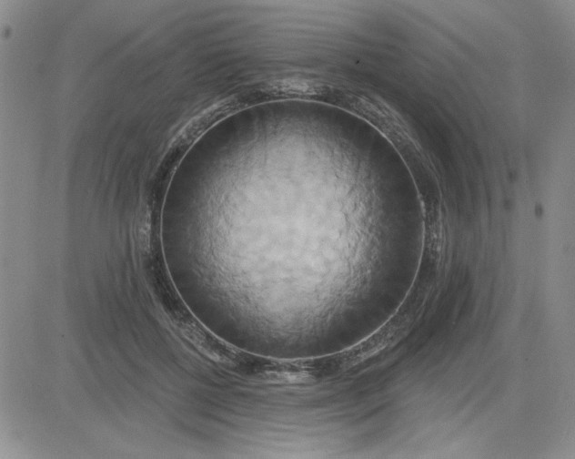 X0000081300552200701251720