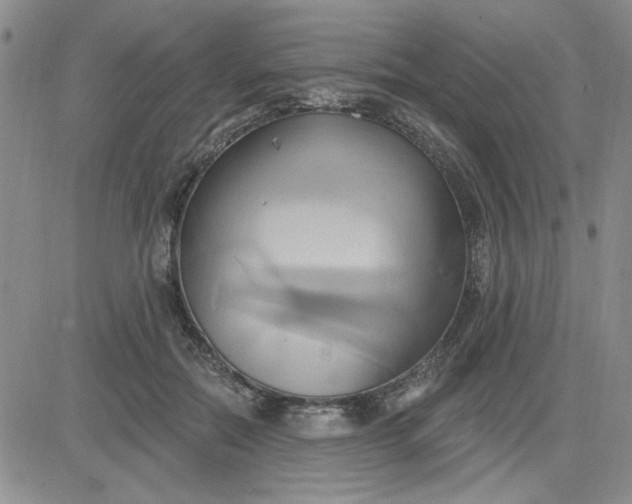 X0000081300554200701251721