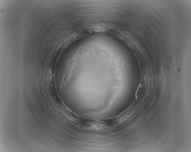 X0000081300555200701251721