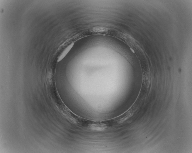 X0000081300556200701251721