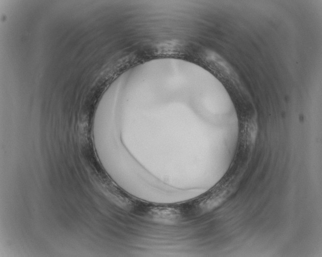 X0000081300557200701251721