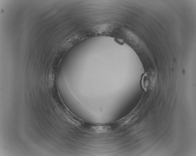 X0000081300558200701251721