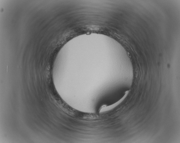 X0000081300559200701251721