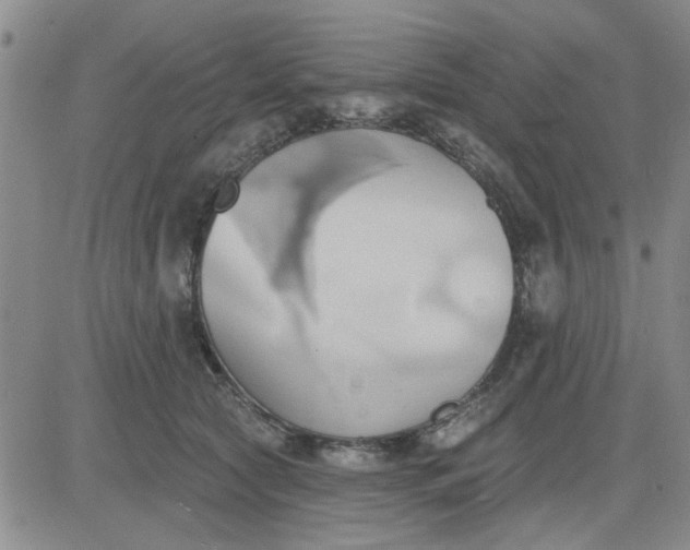 X0000081300561200701251721