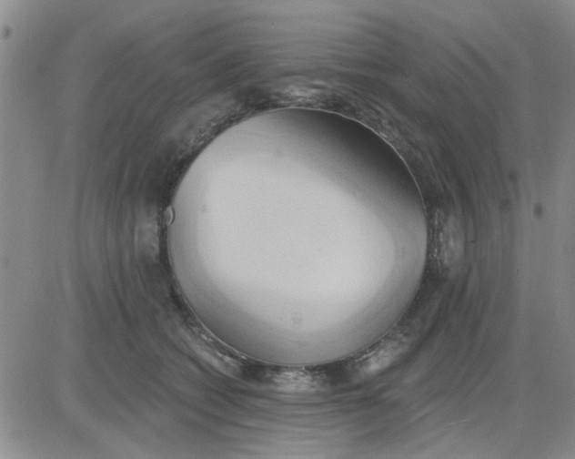 X0000081300562200701251721