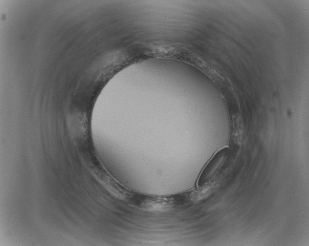 X0000081300563200701251721