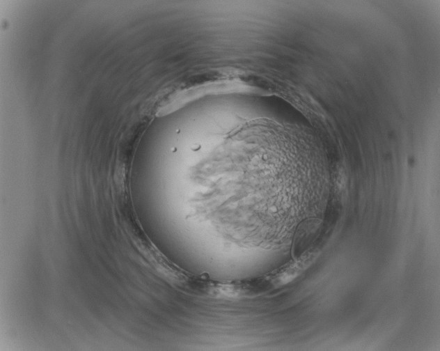 X0000081300565200701251721