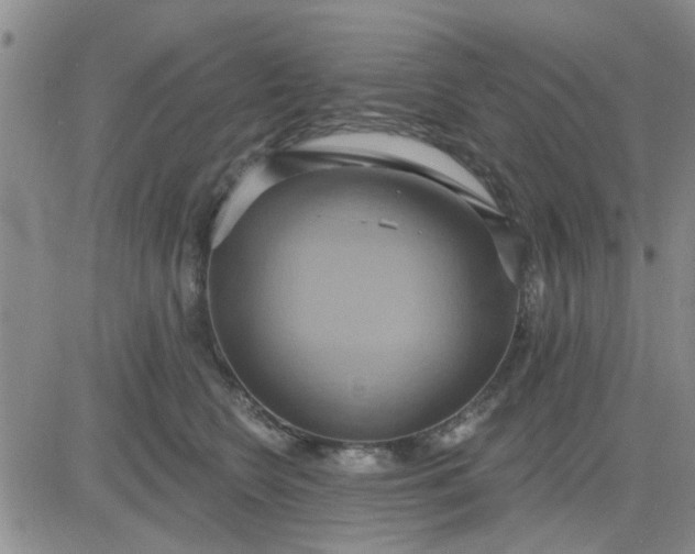 X0000081300566200701251721