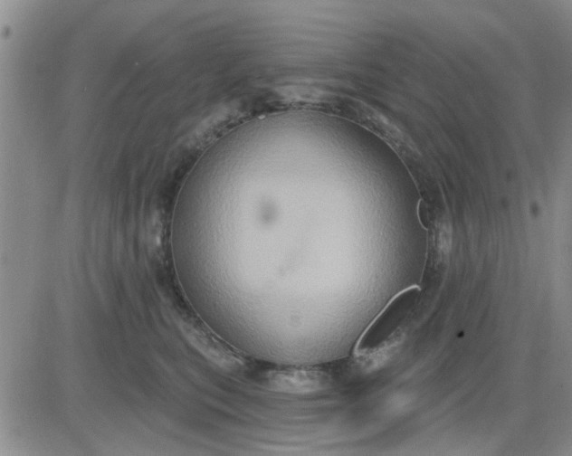 X0000081300567200701251721