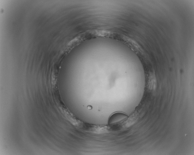 X0000081300569200701251721