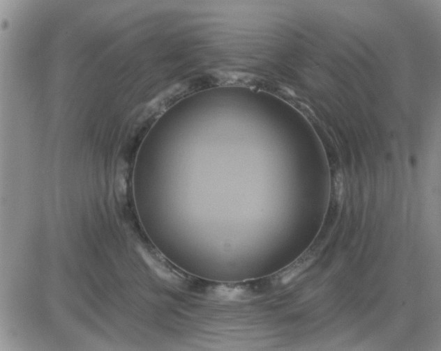 X0000081300570200701251721