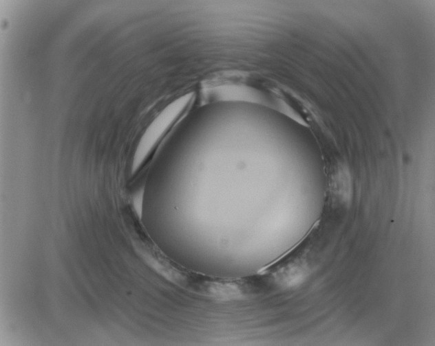 X0000081300572200701251721