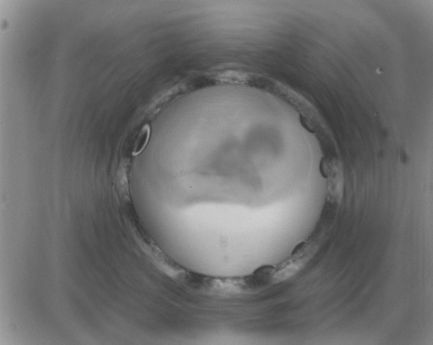 X0000081300573200701251721