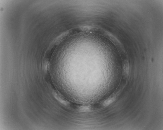 X0000081300574200701251721