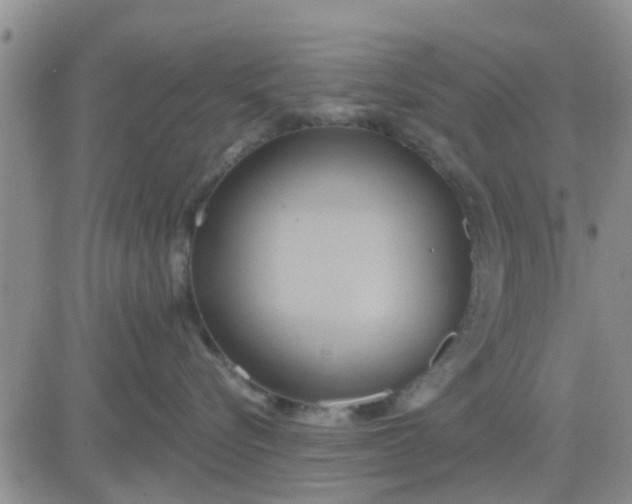 X0000081300576200701251721