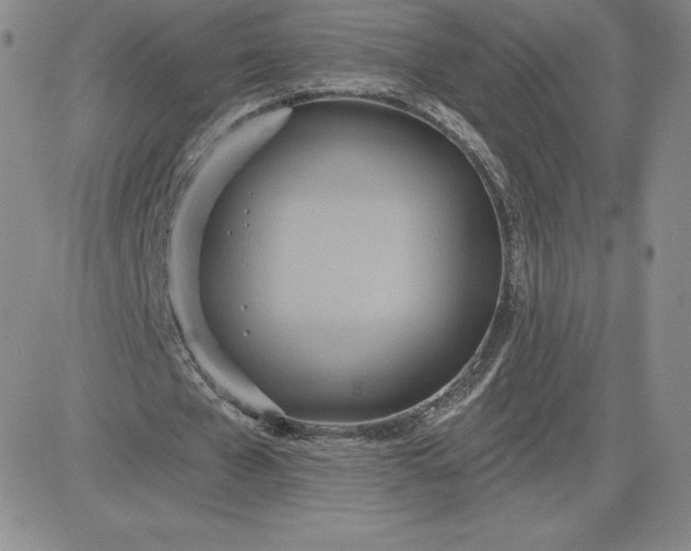 X0000081300577200701251720