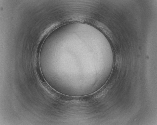 X0000081300578200701251720