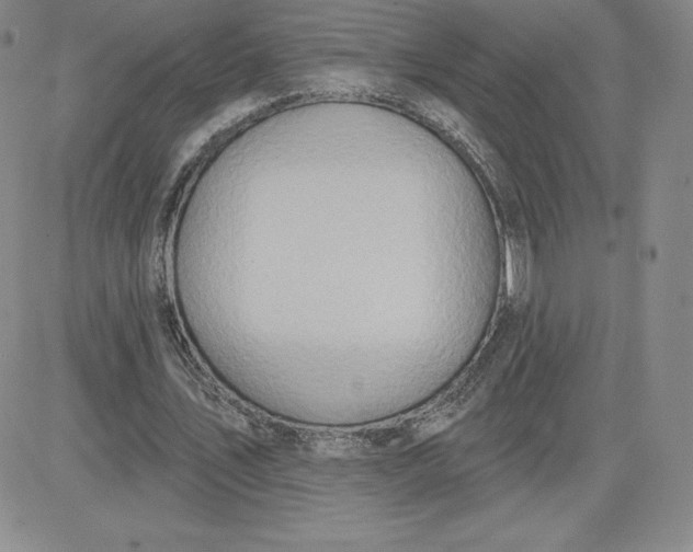 X0000081300579200701251720