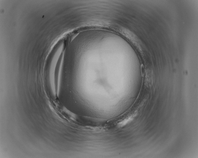 X0000081300580200701251720