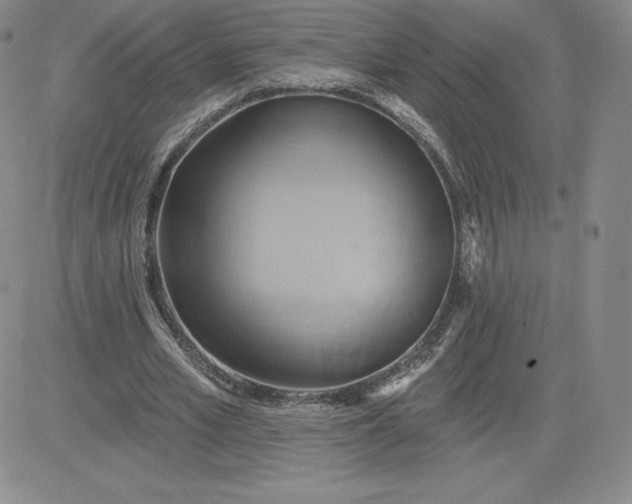 X0000081300581200701251720