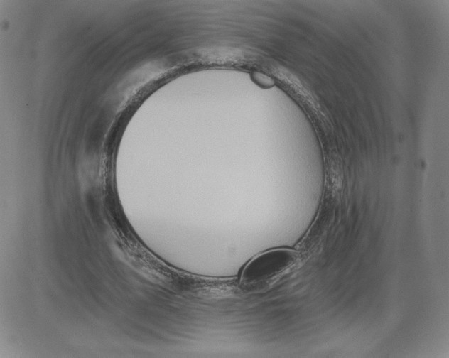 X0000081300583200701251720