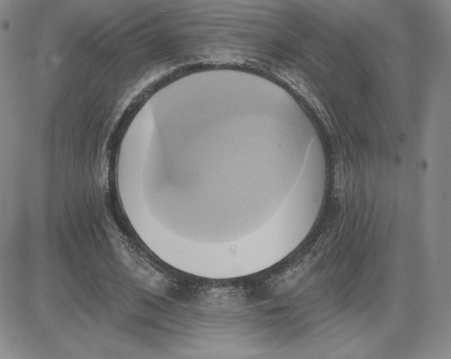 X0000081300584200701251720