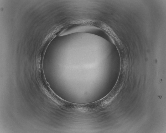 X0000081300585200701251720