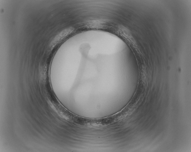 X0000081300586200701251720