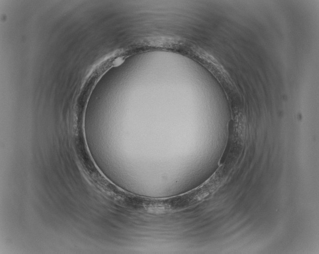 X0000081300587200701251720