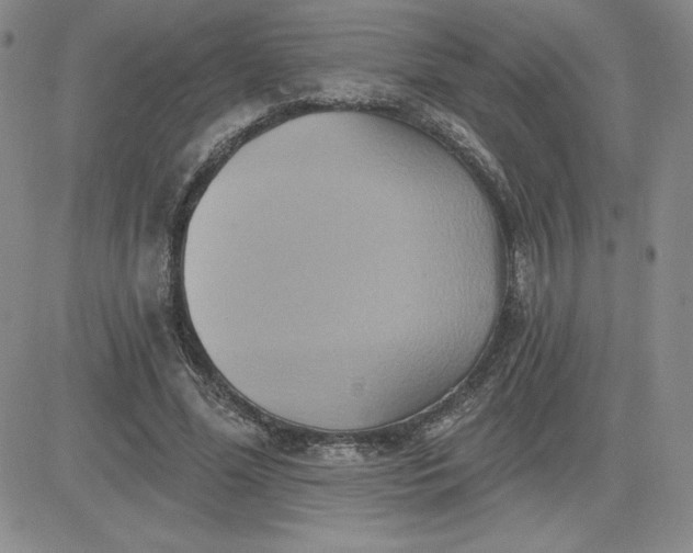 X0000081300588200701251720