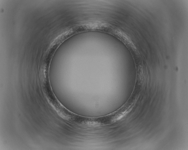 X0000081300590200701251720