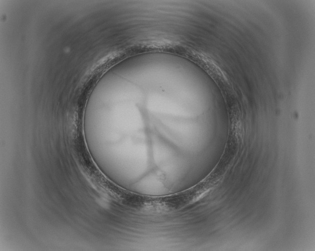 X0000081300591200701251720