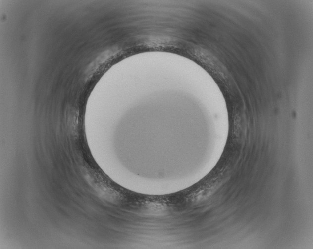 X0000081300592200701251720